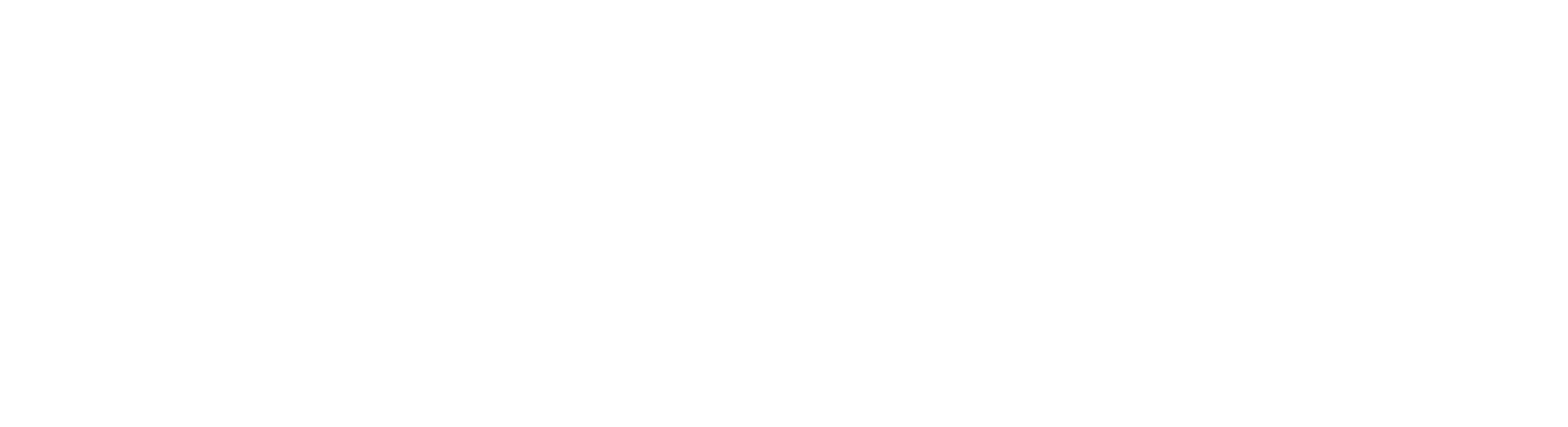 Exclusive Auto Ebook Access Store